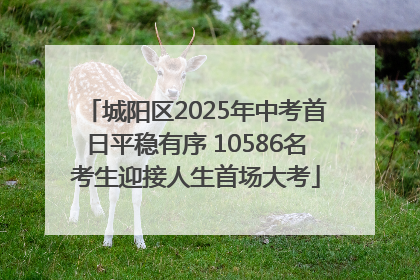 城阳区2025年中考首日平稳有序 10586名考生迎接人生首场大考