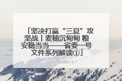 坚决打赢“三夏”攻坚战丨麦穗沉甸甸 粮安稳当当——省委一号文件系列解读①