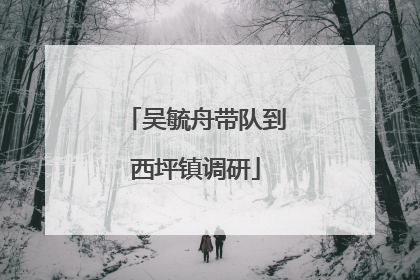 吴毓舟带队到西坪镇调研