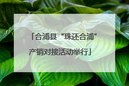 合浦县“珠还合浦”产销对接活动举行