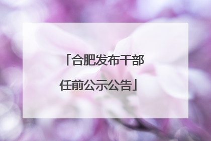 合肥发布干部任前公示公告