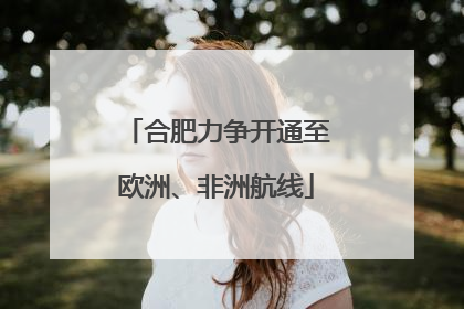 合肥力争开通至欧洲、非洲航线