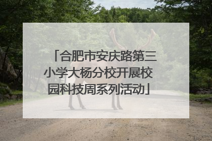 合肥市安庆路第三小学大杨分校开展校园科技周系列活动