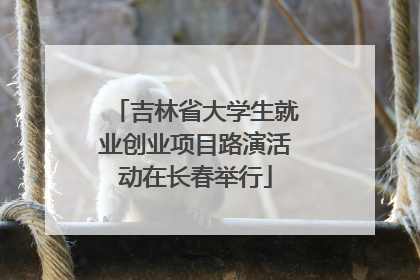 吉林省大学生就业创业项目路演活动在长春举行