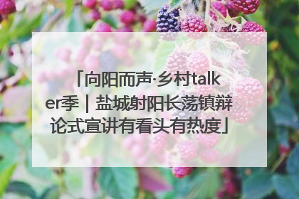 向阳而声·乡村talker季｜盐城射阳长荡镇辩论式宣讲有看头有热度