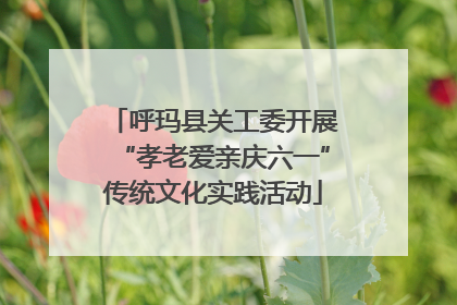 呼玛县关工委开展“孝老爱亲庆六一”传统文化实践活动