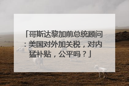 哥斯达黎加前总统顾问：美国对外加关税，对内猛补贴，公平吗？