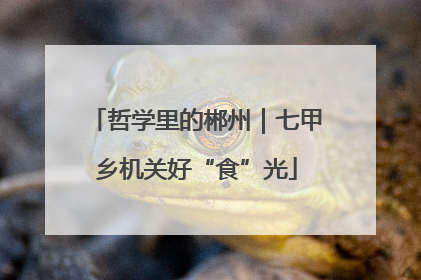 哲学里的郴州｜七甲乡机关好“食”光