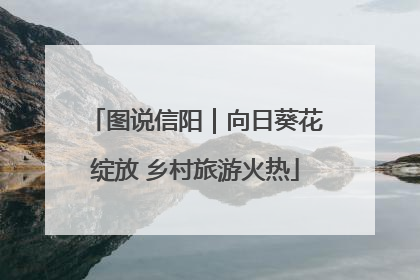 图说信阳｜向日葵花绽放 乡村旅游火热