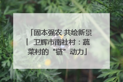 固本强农 共绘新景 ︳卫辉市南社村：蔬菜村的“链”动力