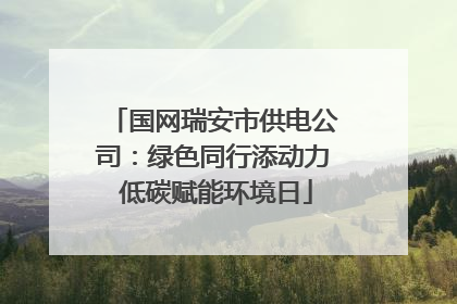 国网瑞安市供电公司：绿色同行添动力 低碳赋能环境日