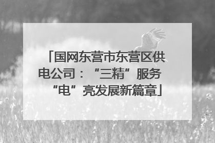 国网东营市东营区供电公司：“三精”服务“电”亮发展新篇章