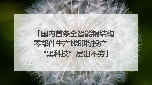 国内首条全智能钢结构零部件生产线即将投产 “黑科技”层出不穷