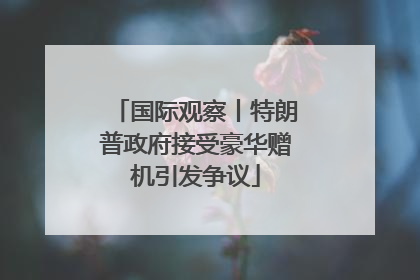 国际观察丨特朗普政府接受豪华赠机引发争议