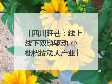 四川旺苍：线上线下双链驱动 小枇杷撬动大产业
