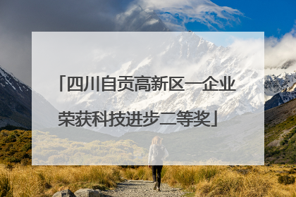 四川自贡高新区一企业荣获科技进步二等奖