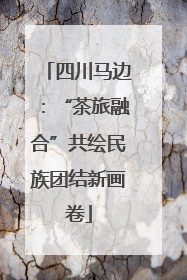 四川马边：“茶旅融合”共绘民族团结新画卷