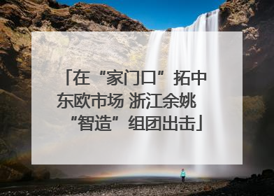 在“家门口”拓中东欧市场 浙江余姚“智造”组团出击