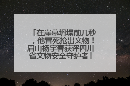 在崖墓坍塌前几秒，他冒死抢出文物！眉山杨宇春获评四川省文物安全守护者