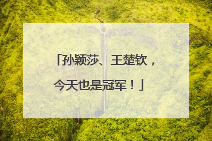 孙颖莎、王楚钦，今天也是冠军！