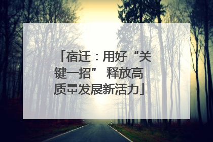 宿迁：用好“关键一招” 释放高质量发展新活力