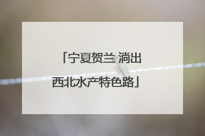 宁夏贺兰 淌出西北水产特色路