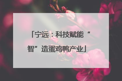 宁远：科技赋能“智”造蛋鸡鸭产业