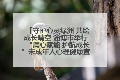 守护心灵绿洲 共绘成长晴空 淄博市举行“润心赋能 护航成长”未成年人心理健康宣传教育主题活动