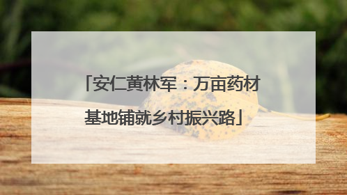 安仁黄林军：万亩药材基地铺就乡村振兴路