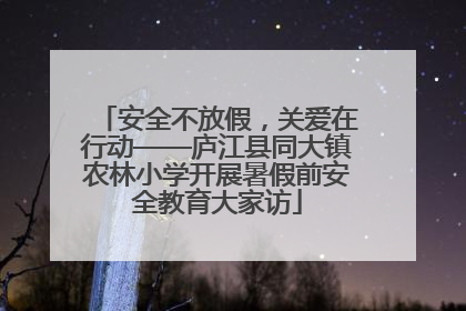 安全不放假，关爱在行动——庐江县同大镇农林小学开展暑假前安全教育大家访