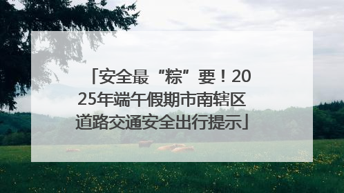 安全最“粽”要！2025年端午假期市南辖区道路交通安全出行提示