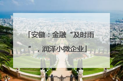 安徽：金融“及时雨”，润泽小微企业