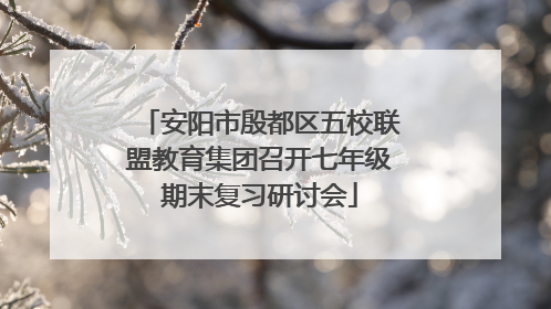 安阳市殷都区五校联盟教育集团召开七年级期末复习研讨会