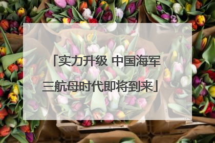 实力升级 中国海军三航母时代即将到来