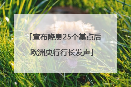 宣布降息25个基点后 欧洲央行行长发声