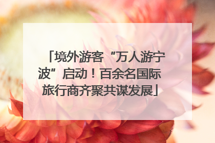 境外游客“万人游宁波”启动！百余名国际旅行商齐聚共谋发展