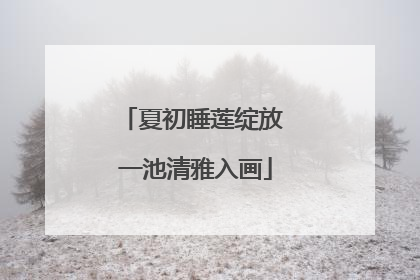 夏初睡莲绽放 一池清雅入画