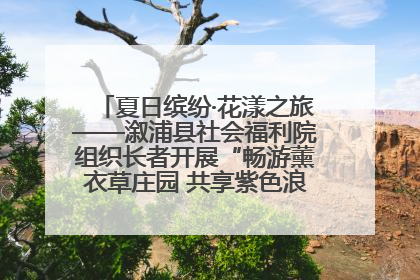 夏日缤纷·花漾之旅——溆浦县社会福利院组织长者开展“畅游薰衣草庄园 共享紫色浪漫”户外活动