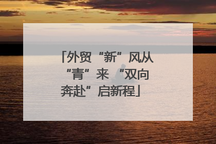 外贸“新”风从“青”来 “双向奔赴”启新程