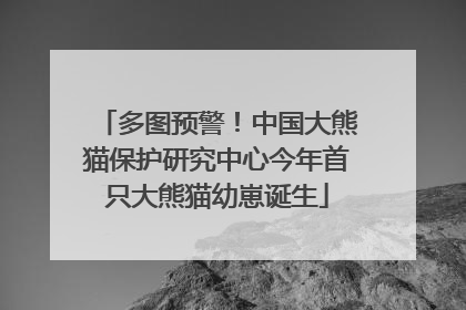 多图预警！中国大熊猫保护研究中心今年首只大熊猫幼崽诞生