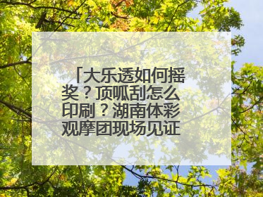 大乐透如何摇奖？顶呱刮怎么印刷？湖南体彩观摩团现场见证“阳光开奖”