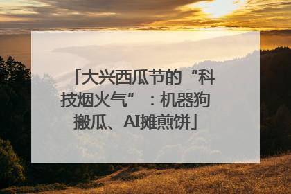 大兴西瓜节的“科技烟火气”：机器狗搬瓜、AI摊煎饼