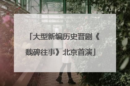大型新编历史晋剧《魏碑往事》北京首演