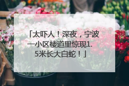 太吓人！深夜，宁波一小区楼道里惊现1.5米长大白蛇！