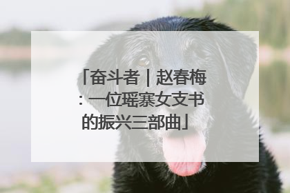 奋斗者｜赵春梅：一位瑶寨女支书的振兴三部曲