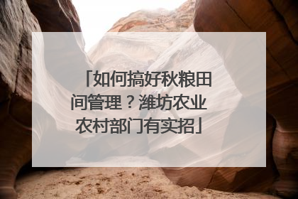 如何搞好秋粮田间管理？潍坊农业农村部门有实招