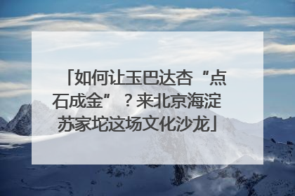 如何让玉巴达杏“点石成金”？来北京海淀苏家坨这场文化沙龙