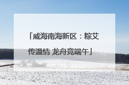 威海南海新区：粽艾传温情 龙舟竞端午
