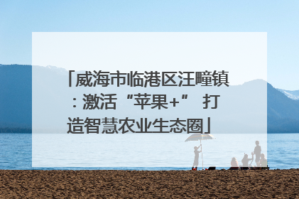 威海市临港区汪疃镇：激活“苹果+” 打造智慧农业生态圈