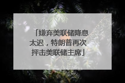 嫌弃美联储降息太迟，特朗普再次抨击美联储主席